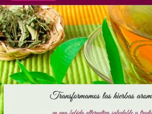 Hierbas aromáticas Reina del Cisne